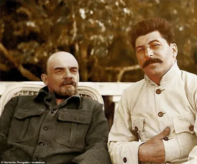 Сталин в цвете: Существуйте между прошлым и настоящим
