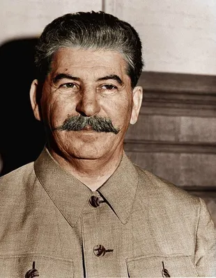 Сталин в цвете: Откройте новую перспективу истории