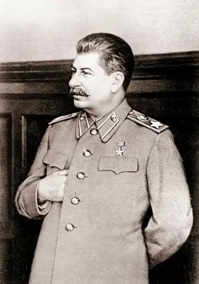 HD фото Сталин в цвете