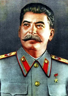 Сталин в цвете: Заключите мощь столетий в изображении