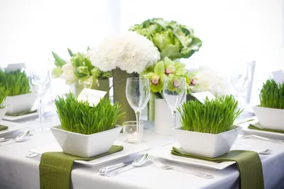 Фотографии свадьбы в зеленом цвете: красивые изображения для вашего телефона