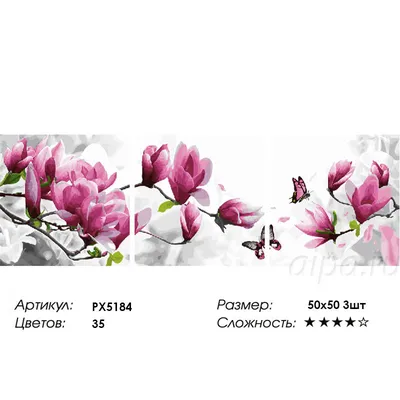 Фото цветов в формате PNG: прозрачный фон для легкого использования