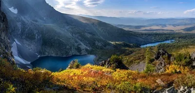 Цветущие алтайские красавицы: фотографии горно-алтайских цветовых ароматов