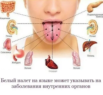 Обои на телефон языка при вич: красивые изображения для экрана