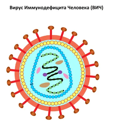 В хорошем качестве фото языка при вич: ясное представление о визуальных изменениях