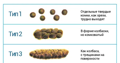 Что происходит с калом после употребления свеклы? Фотография дает ответ 