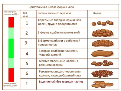 Фото свеклы в формате webp: оптимизированное изображение для быстрой загрузки