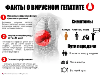 Фото и обои цвета кала при гепатите: выбирайте любой формат