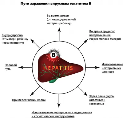 Разнообразие цветов кала при гепатите на фото