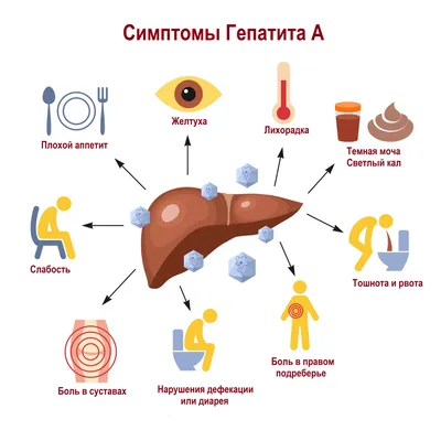 Скачать бесплатно фото цвета кала при гепатите