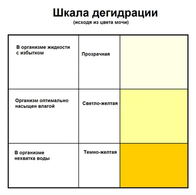 2. Цвет мочи норма: Полезная информация и фото в Full HD качестве, бесплатно скачать