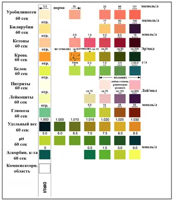 17. Цвет мочи норма: Новое изображение для скачивания, бесплатно в формате WebP