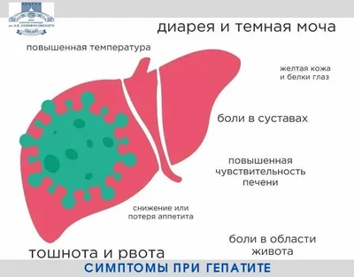 Фотка цвета мочи, идеального для айфона – скачать бесплатно!