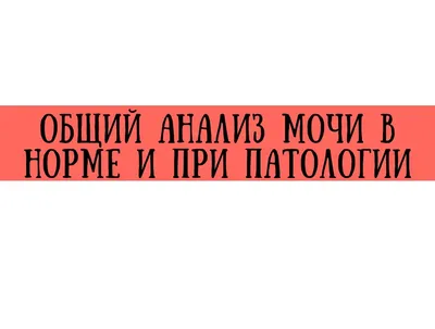 Тонкий баланс: как цвет мочи отражает здоровье