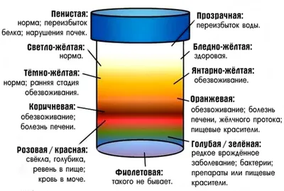 Цвет мочи