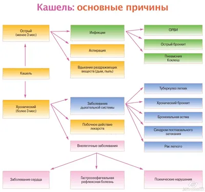 Тайны мокроты: фото и оттенки при туберкулезе