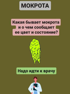 Роскошь красок Цвет мокроты: Насладитесь разнообразием нашей галереи