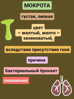 Вдохновение природы: искусные картины 'Цвет мокроты'