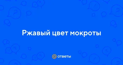 Пленительный спектр: фотографии с магическим 'Цветом мокроты'