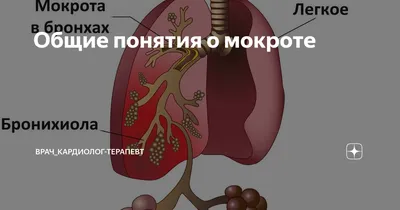 Прикосновение к цветам: уникальные оттенки на фотографиях 'Цвет мокроты'