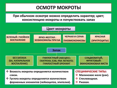 Рисунок Цвет мокроты в webp формате: оптимизированное изображение для быстрой загрузки