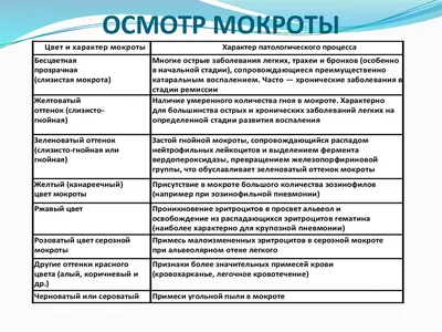 Изображение на андроид с прекрасными цветами мокроты