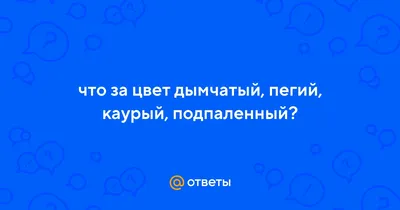 Вдохновляющее фото: захватывающие оттенки пегого цвета