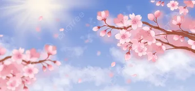 Цвет сакуры: захватывающие фото, отражающие красоту природы