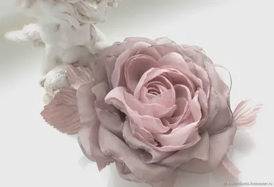 Цвет старая роза: Нежный и романтичный цветок на вашем экране