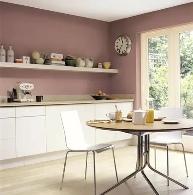 Изысканный белый: фотографии цветов и цвета стен на кухне