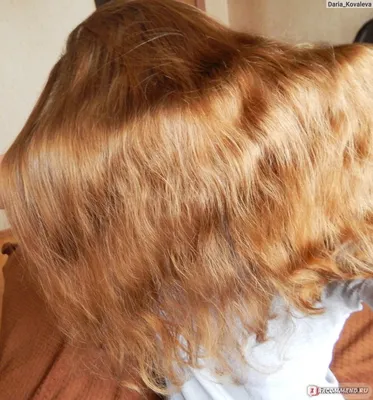 Фотографии с красивым цветом волос грецкий орех для скачивания