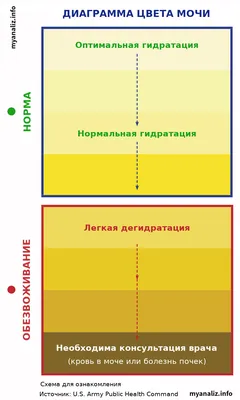 Изображение: цвет здоровой мочи для свободного скачивания