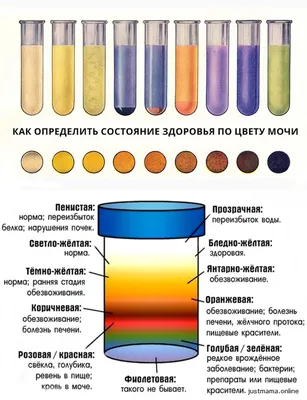 Впечатляющие фото цвета здоровой мочи для вашего просмотра