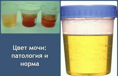 Фотографии и рисунки цветных мочи: неповторимая красота и магия цветов