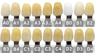 Изображения с примерами цвета зубов а1