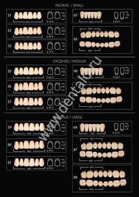 Изображение зубов b1: идеальный оттенок для белоснежной улыбки
