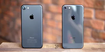 Изображения с цветами для iPhone 8: сделай свой экран ярким