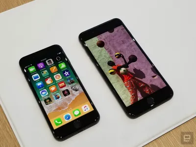 Фотографии цветов на iPhone 8: выбери обои на рабочий стол