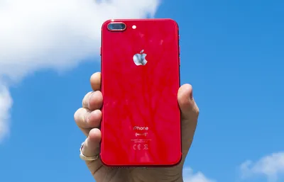 Фон с цветами для iPhone 8: погрузись в атмосферу красок