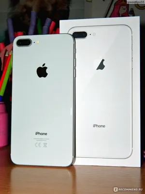Яркие обои на телефон с цветами для айфона 8 скачать бесплатно