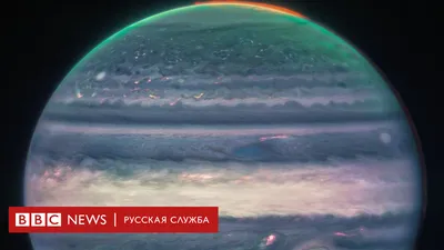 Изображение венерианской розы: фотография в хорошем качестве для айфона