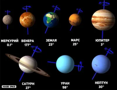 Изображение небесно-синей розы Урана: обои на телефон бесплатно