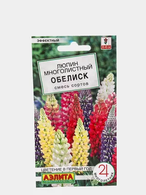 Картинки с цветами люпины - искусство захватить момент