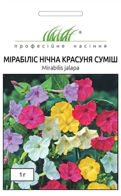 Хорошо, вот список 20 уникальных заголовков на тему Цветов ночная красавица: