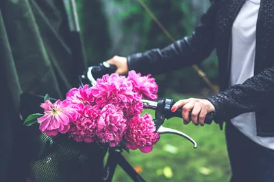 Цветы, символизирующие любовь: серия фотографий с цветами в руках девушек