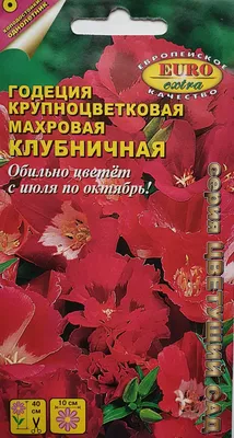 Картинка годеции: нежность и красота цветов