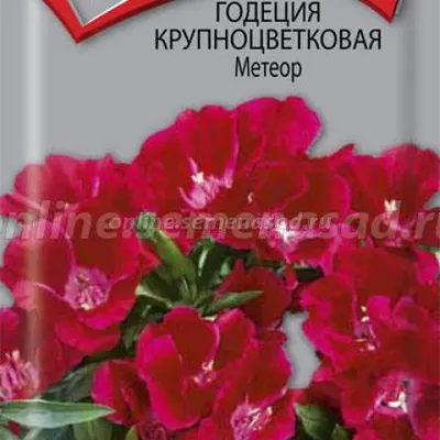 Фото на андроид: красочный цветок для вашего телефона