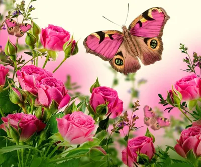Очарование цветов и бабочек на фото: обои на рабочий стол в формате 2024