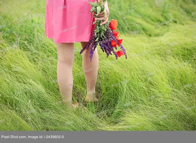 Фотки цветов и ног в формате PNG