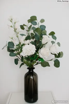 Цветы икеа: прекрасные фото для вашего дома